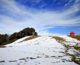 IMG_20171123_135445 - final wb