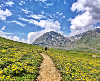 IMG_20180721_204834_082 for website