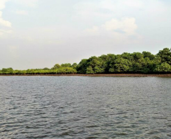 P_20171120_163421_HDR-750x400 ws