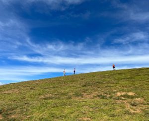 Mysore Ooty Adiyogi Tour Mysore Ooty