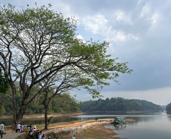 Periyar Lake